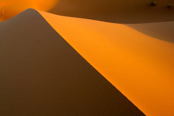 サハラ砂漠に線と影の砂丘 — ストック写真