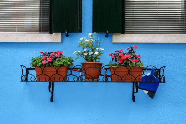 Τρία Μικρά Γλάστρες Λουλούδια Στο Μπαλκόνι Μπλε Τοίχο — Φωτογραφία Αρχείου