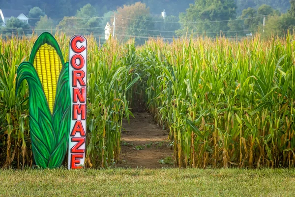Mısır tarlası Cornmaze