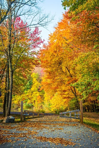 Autumn Park Entrance — Φωτογραφία Αρχείου