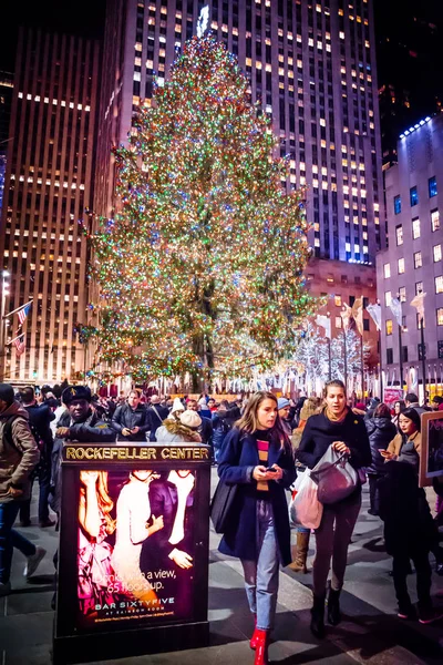 Vado a vedere l'albero — Foto Stock