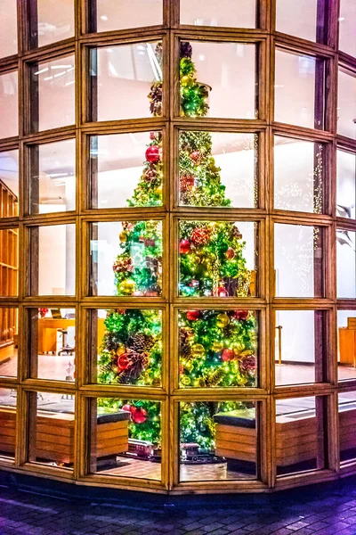 Framed Christmas Tree — Stock Photo, Image