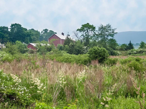 Kırsal Sussex County — Stok fotoğraf