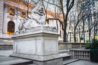 NY Kütüphane aslan
