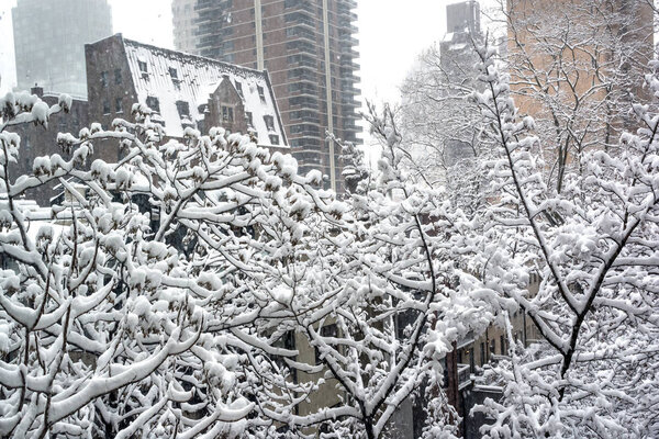 Branches heavy with freshly fallen snow in Manhattan.