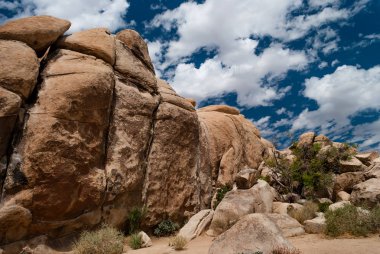 Maltepe kaya oluşumu