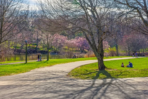 Slunečný den Holmdel Park — Stock fotografie