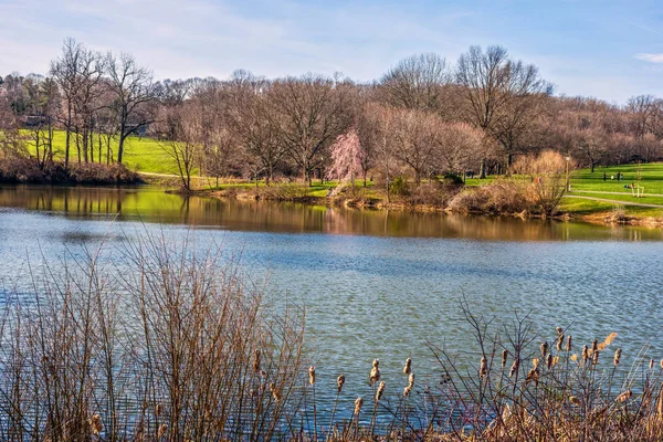 风景名胜 Holmdel 公园 — 图库照片