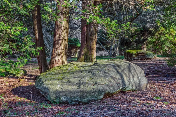 Сидящий камень в парке — стоковое фото