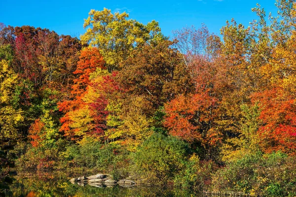 Az ősz színei — Stock Fotó