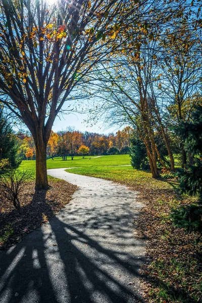 公園を通って — ストック写真