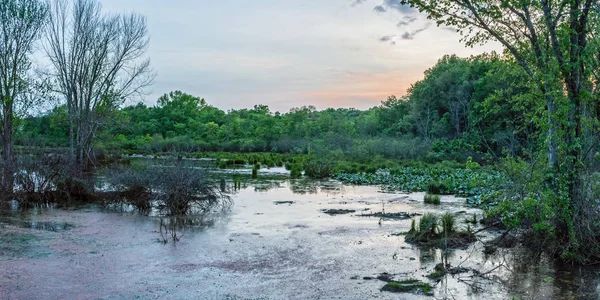 Panorama de humedales al anochecer —  Fotos de Stock