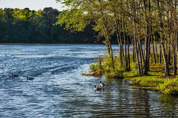 Lake Margaruite lente — Stockfoto