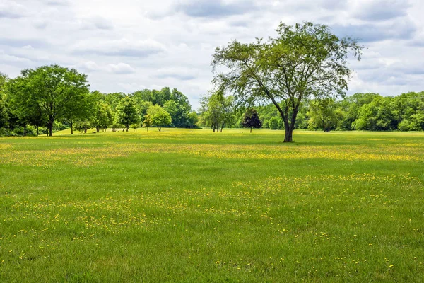 Heritage Park Nj — Foto Stock