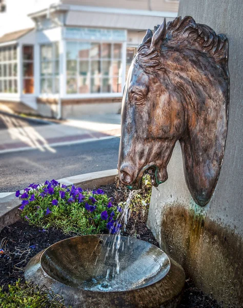 Antieke paard fontein — Stockfoto