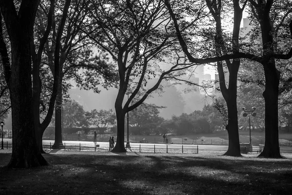 Central Park Silhueta — Fotografia de Stock