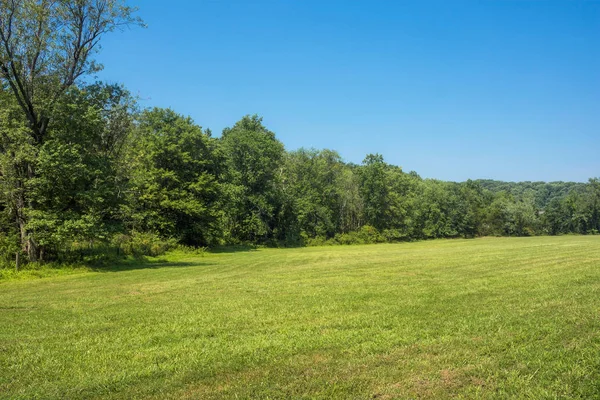 Just an Open Field — Stock Photo, Image