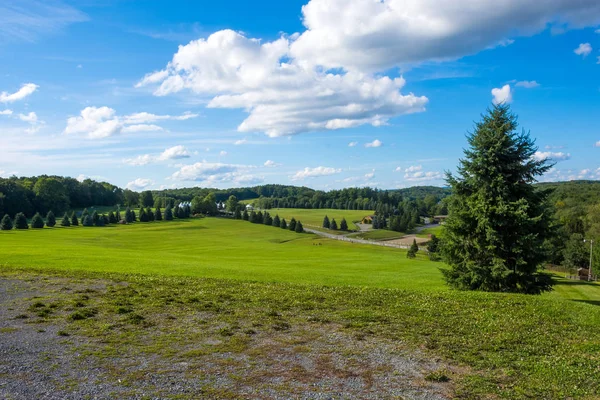 Distant View of Concert Field — Stock Photo, Image