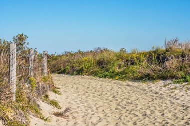 Doğal iz Sandy Hook