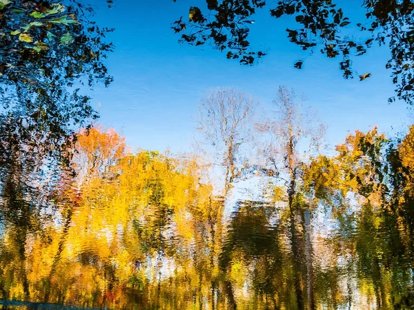 Psychedelische herfst vijver — Stockfoto