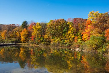 George Lake yansımalar 
