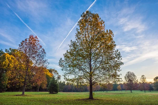 Morgon Chemtrails över Park — Stockfoto