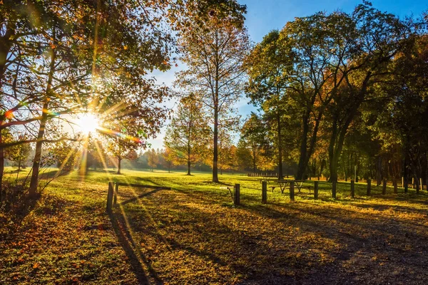 Sabah güneş ışığında Park — Stok fotoğraf