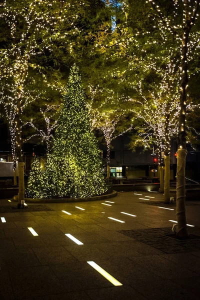 Juletræer Zuccotti Park - Stock-foto