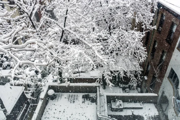 Sneeuw in de stad — Stockfoto