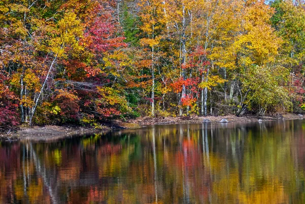 Autumn Pond Reflections — Stock Photo, Image