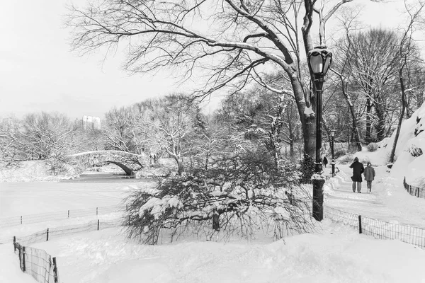 Winterwandeling in het park — Stockfoto