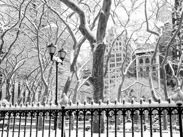 Winter park scène — Stockfoto
