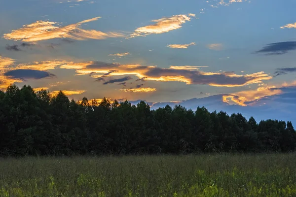 Last Light Over Meadow — Stock Photo, Image