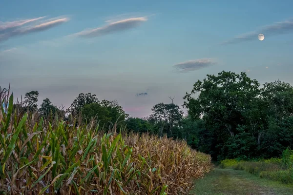 Sinar bulan di Trail — Stok Foto