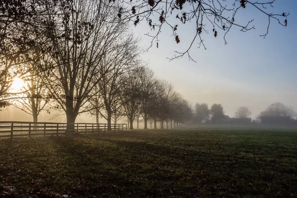 Niebla rural matutina — Foto de Stock