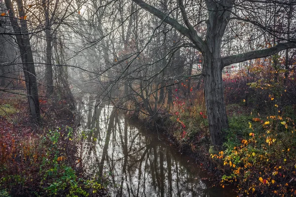 Morning Fog on Creek — Stock Photo, Image