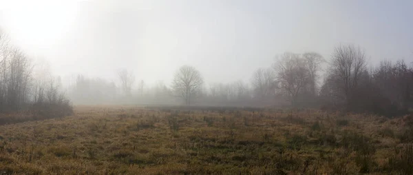 Morning Fog Panorama — Stock Photo, Image