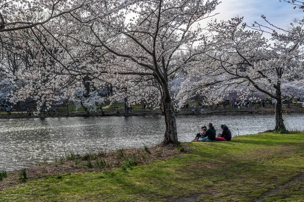 Familyinthepark — ストック写真