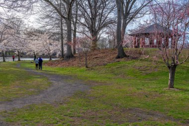 Bahar yürüyüş Park