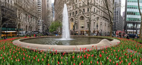 Bowling Green Panorama — Stock Photo, Image