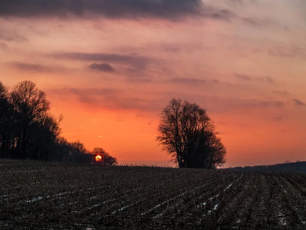 Último sol sobre el campo — Foto de Stock