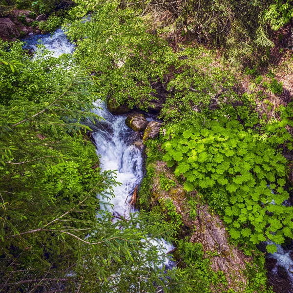 Greens and Streams — Stock Photo, Image