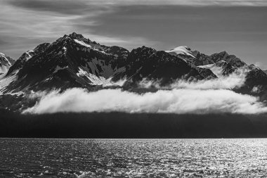 Diriltme Körfezi Buğusu