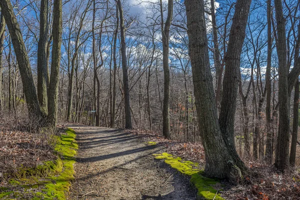 Kış hiking trail — Stok fotoğraf