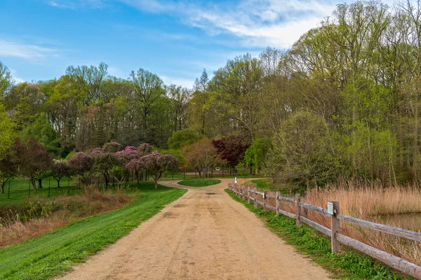 Lente landschap — Stockfoto