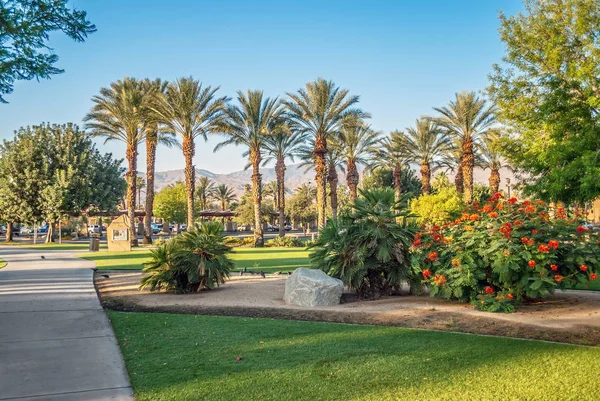 Giardini e Palme — Foto Stock