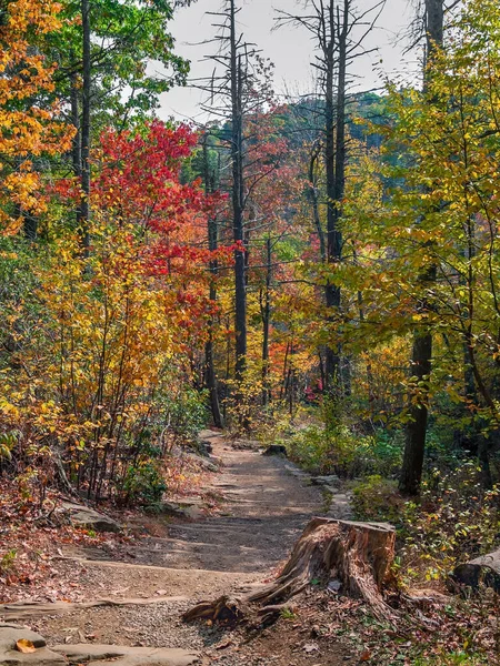 Shenandoah Trail — 스톡 사진