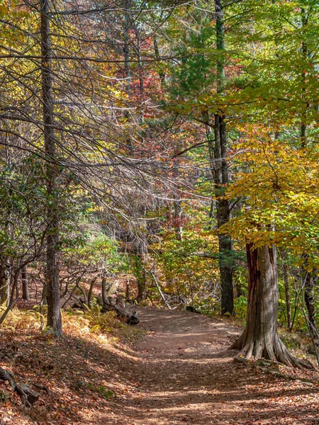 Kleurrijke herfstroute — Stockfoto