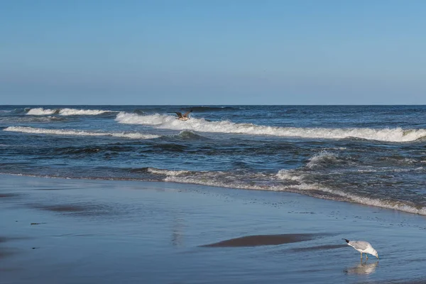 Surf tranquillo — Foto Stock