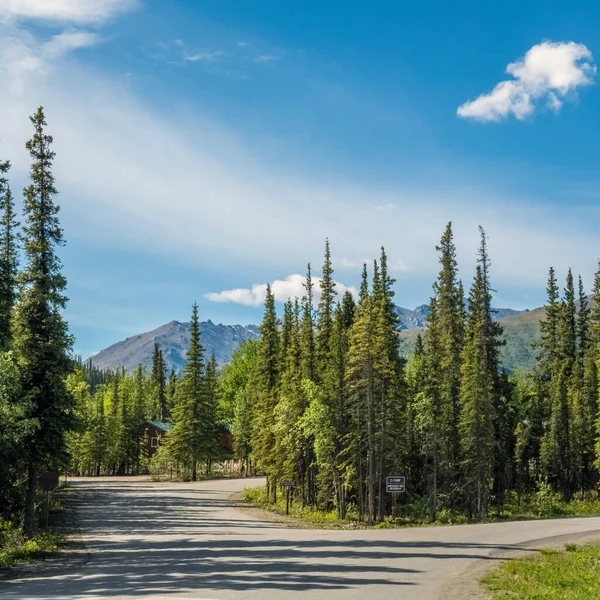 Malownicze Piękno Denali National Park Alasce — Zdjęcie stockowe